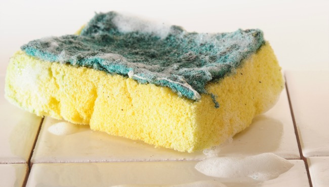 how to clean a smelly sponge